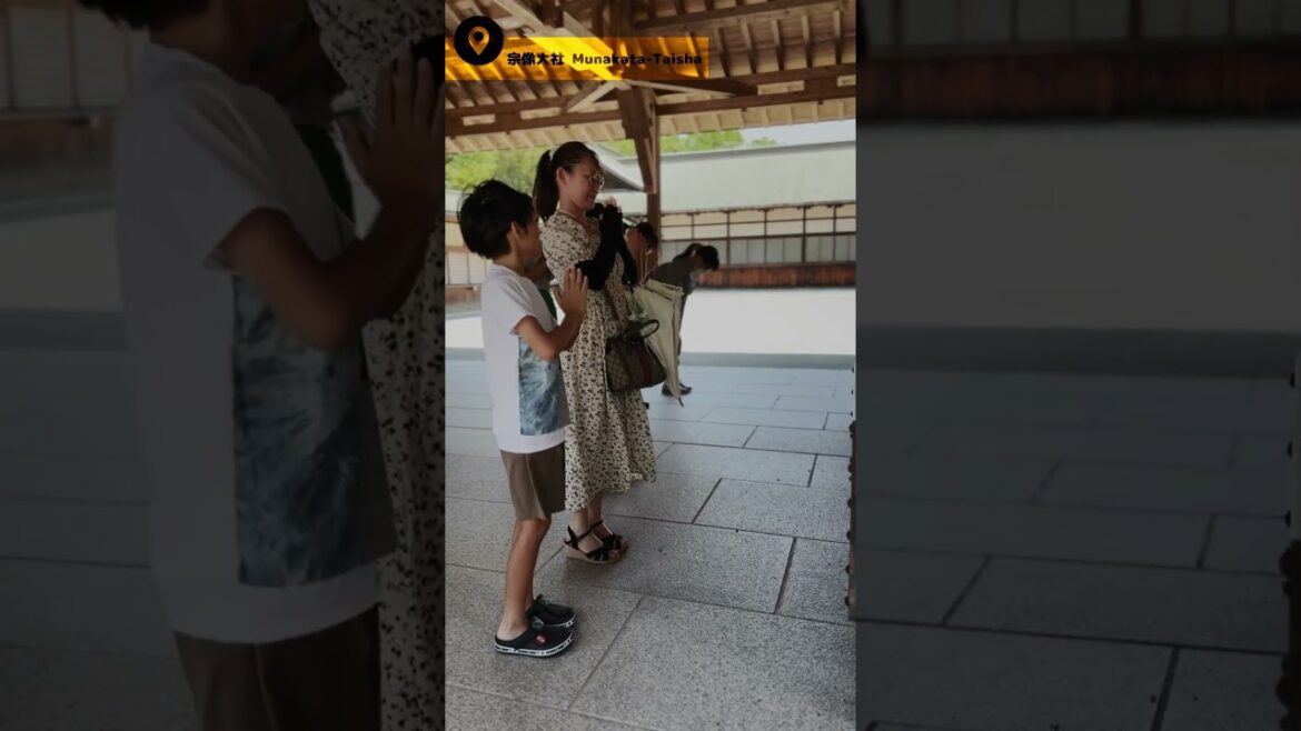 宗像大社初めて行きました。 #宗像大社 #神社巡り 宗像大社初めて行きました。 #宗像大社 #神社巡り