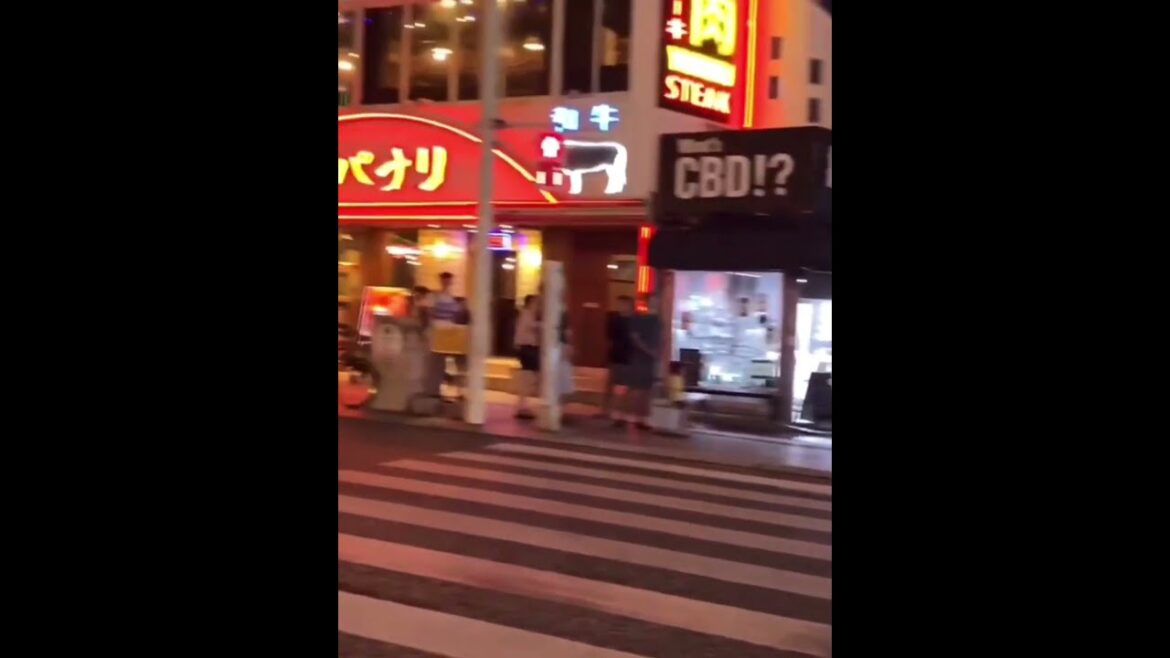 What Makes This Street Busy? #japan #amazing  #subscribe