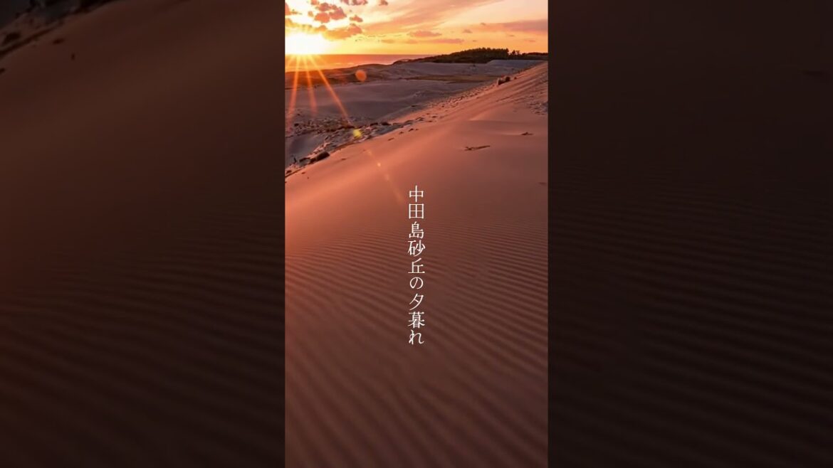 夕暮れの中田島砂丘 #shorts