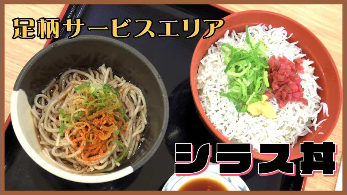 仙台一人旅が足柄サービスエリアののみくりや亭のシラス丼セットから始まる The first shirasu bowl on a trip to Sendai:グルメレポートGourmet Report