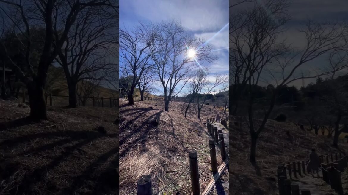 Mount Omuru Japan Shizuoka