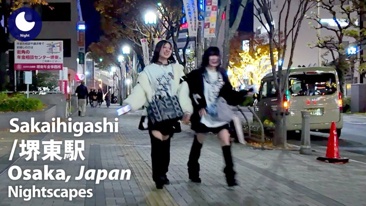 ⁴ᴷ Osaka: Sakaihigashi Station (大阪府: 堺東駅) - Japan Walking Tour (December, 2024)