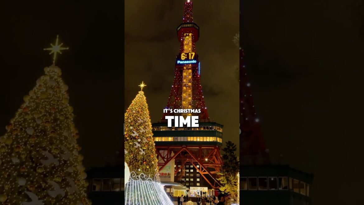 You Have To Visit Japan's Best Christmas Market In Sapporo! #christmas2024 #japanholiday