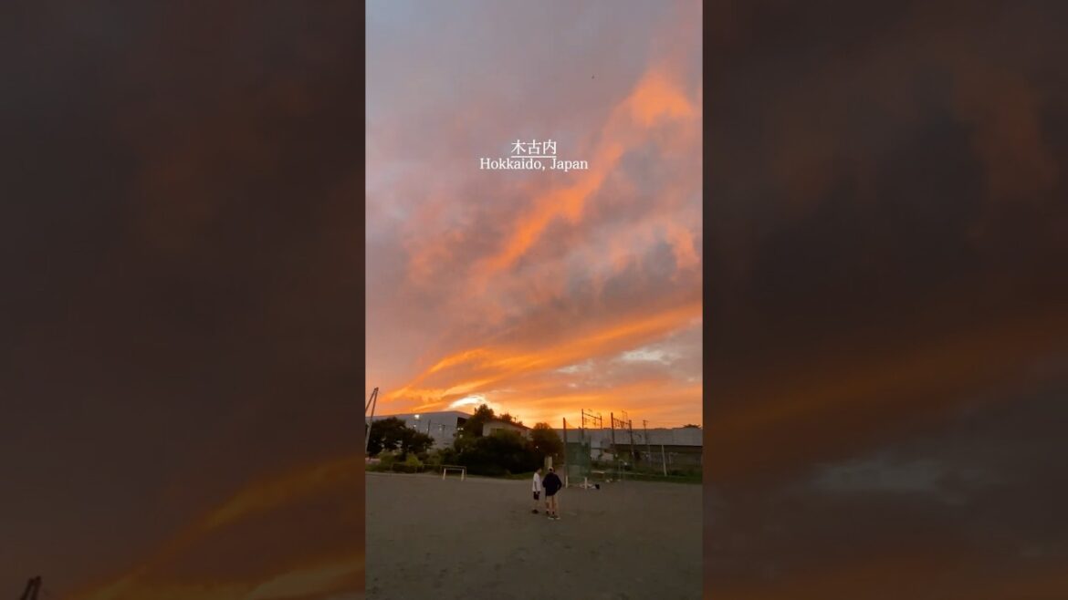 Magic Hour......🌇  #Shorts