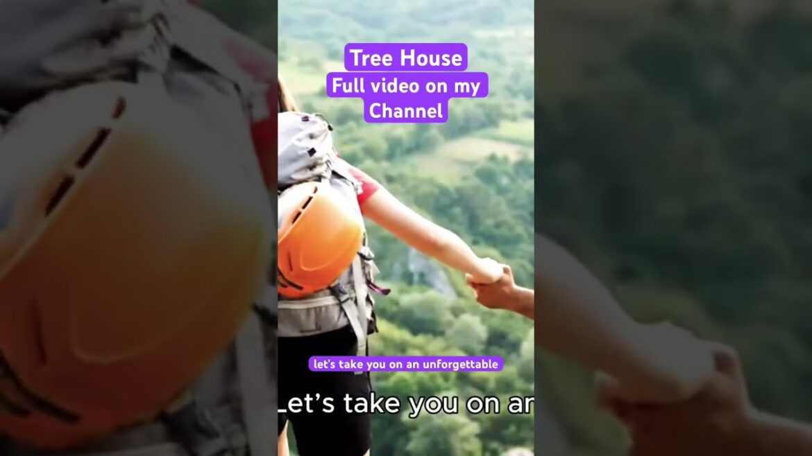 TreeFul Tree House Resort | best house in japan | must see places in japan | treehouse fantacy TreeFul Tree House Resort | best house in japan | must see places in japan | treehouse fantacy