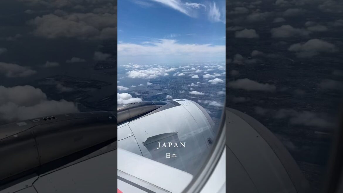 Japan tour 2022 #travel #reels #music #memes #japan #trip #trending #travelshorts #cover #viralshort