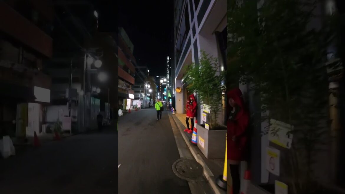 Little Red Riding Hood #shinjuku #okubopark #travel Little Red Riding Hood #shinjuku #okubopark #travel