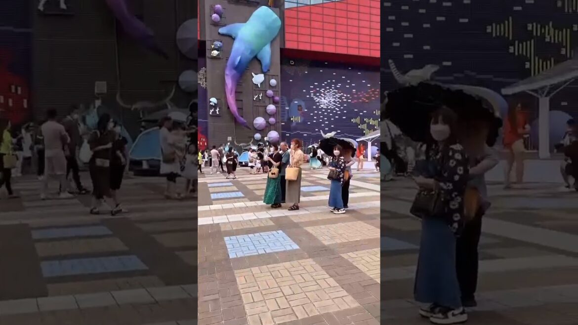 Japan Trip🇯🇵-Kaiyukan Aquarium OSAKA#japan#osaka#kaiyukan#osakatrip Japan Trip🇯🇵-Kaiyukan Aquarium OSAKA#japan#osaka#kaiyukan#osakatrip