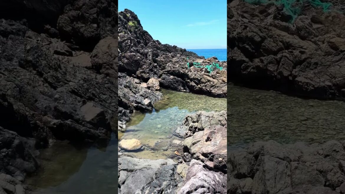 ⑤　「ふれあいパーク佐多」から海岸へ下りた景色【2024/07/22】鹿児島県肝属郡南大隅町佐多尾波瀬