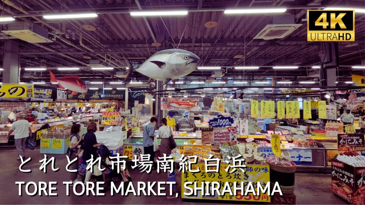 [ WAKAYAMA ] Japanese Fish Market walking tour ToreTore Ichiba Market  #wakayama #shirahama