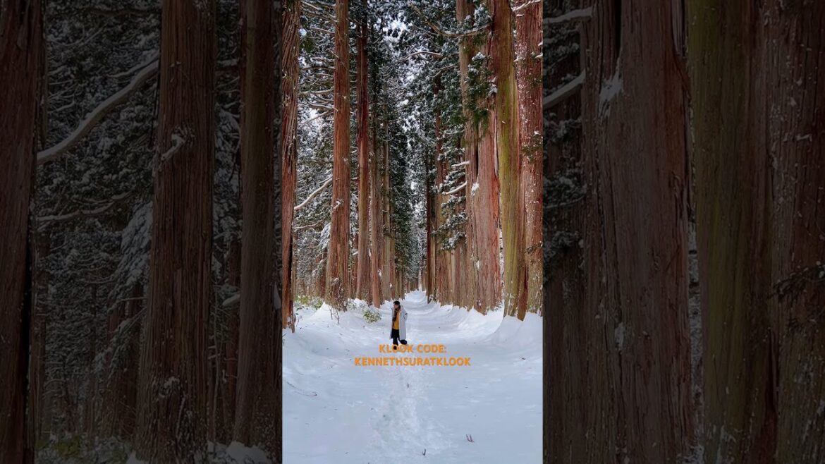 Togakushi Shrine Nagano Togakushi Shrine Nagano