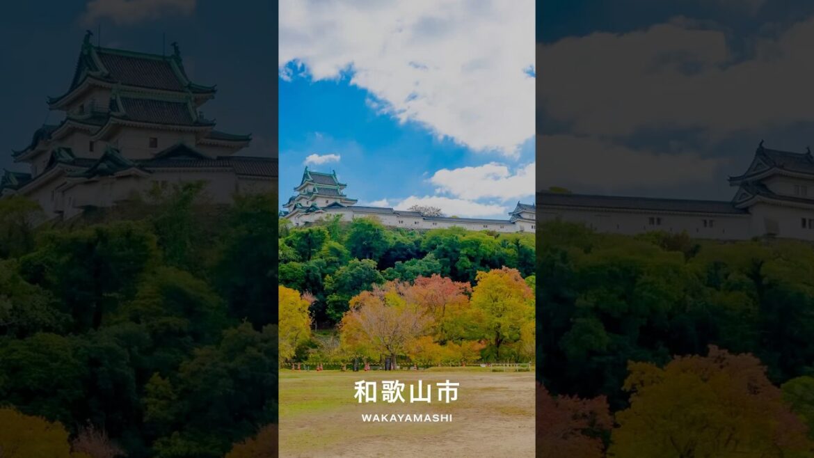 #Wakayamashi ( #Wakayama )|#Japan #Travel #Shorts #Wakayamashi ( #Wakayama )|#Japan #Travel #Shorts