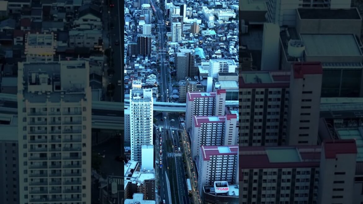 JAPAN'S TALLEST BUILDING TOUR (あべのハルカス) - Ultimate Osaka Experience