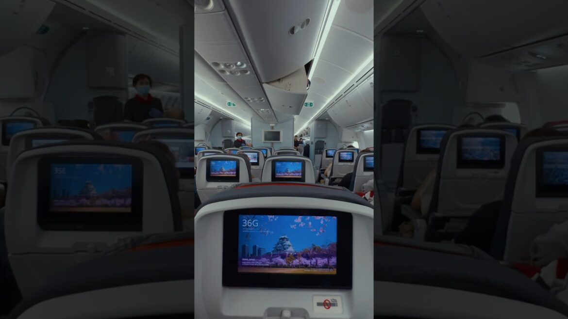 We are back! Summer in Japan