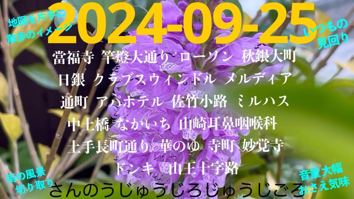 2024-09-25さんのうじゅうじろじゅうじごろ