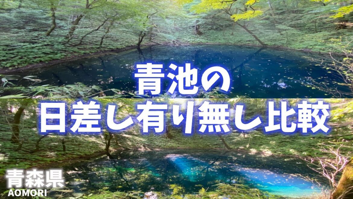 【青森県観光】コバルトブルーに輝く青池の日差し有り無しを比較！日差しでこんなに違うとは！訪れる時間帯が大事！[Aomori Prefecture Tourism] Shining Aoike