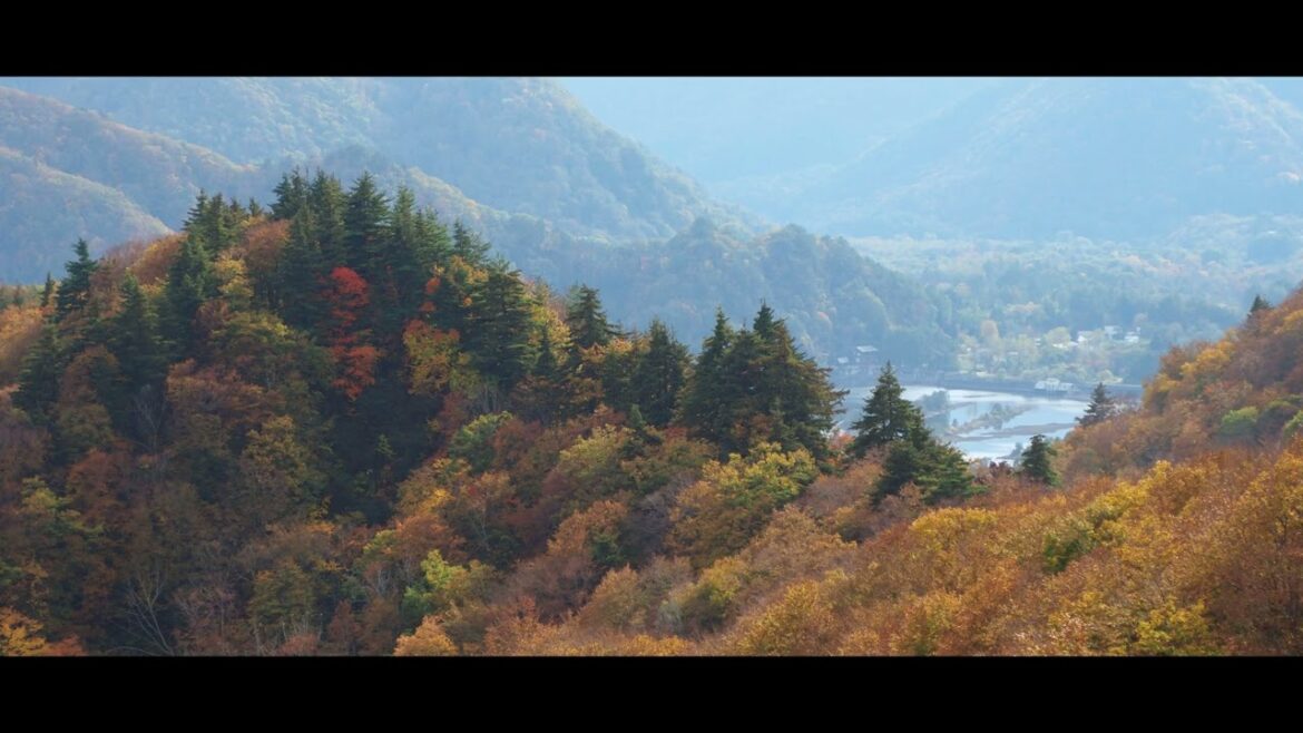 Bandai Azuma Lakeline in Autumn