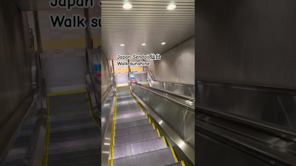 Photography in December 2024 Photography in December 2024