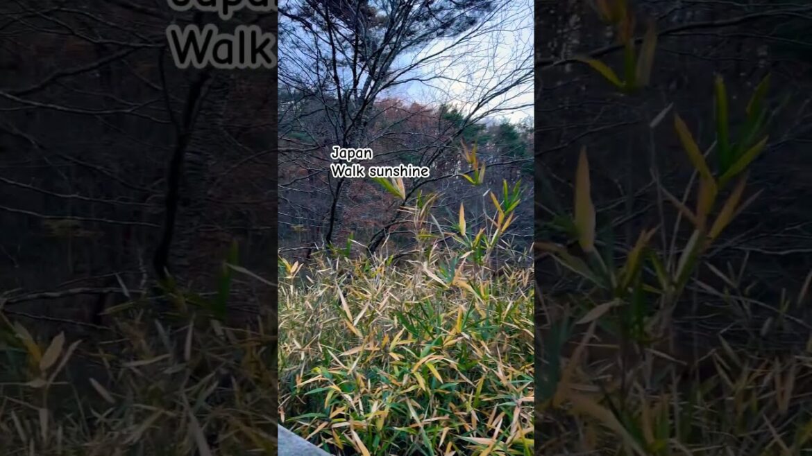 Photography in December 2024