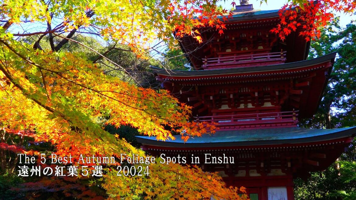 5 Best Places to See Autumn Leaves in Enshu, a Hidden Little Kyoto 5 Best Places to See Autumn Leaves in Enshu, a Hidden Little Kyoto