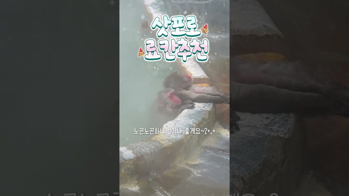 2024 삿포로 료칸 추천