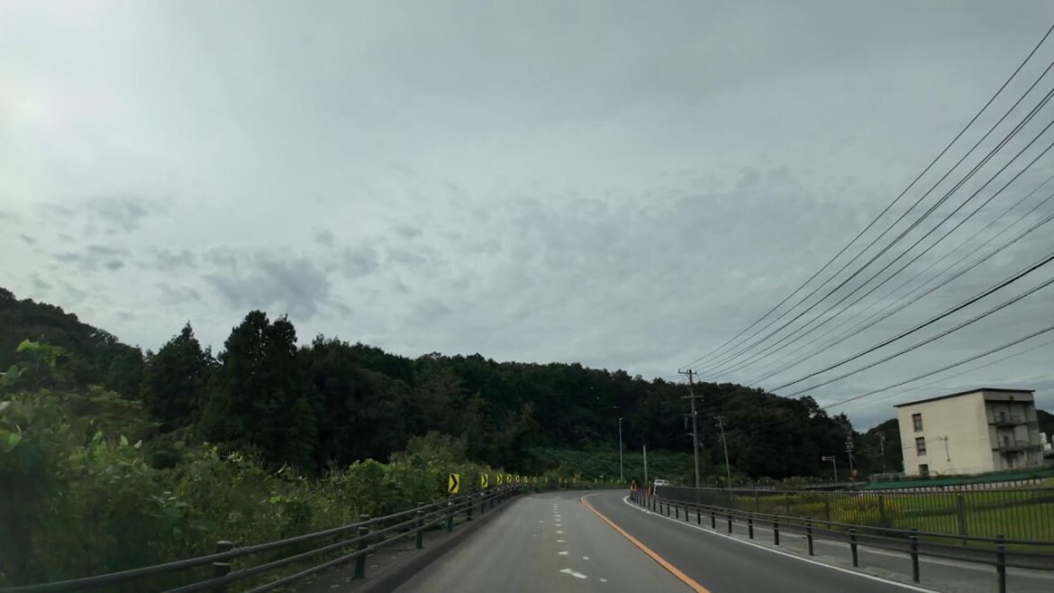 Driving from Homi Danchi to Nagakute: A Scenic Journey Through Japan's Aichi Prefecture