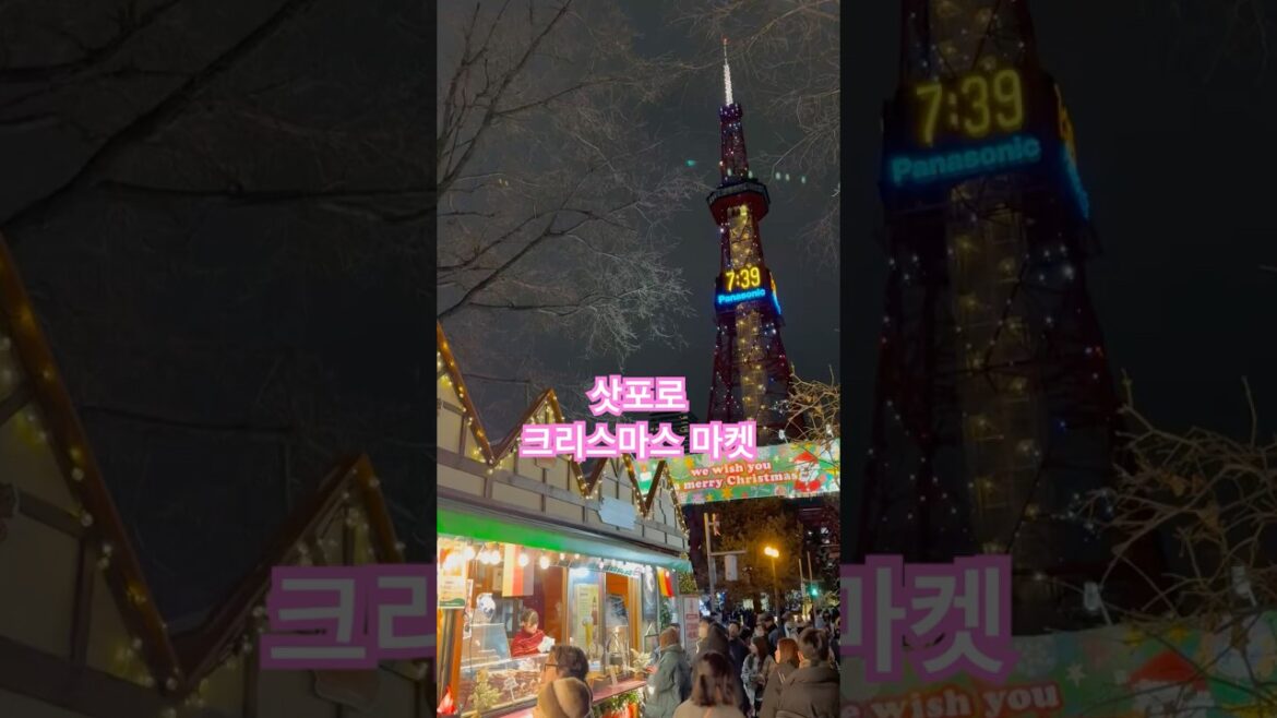 삿포로 크리스마스 마켓 #삿포로#삿포로여행#일본여행#여행로그#travle#christmas#xmas#삿포로크리스마스마켓#삿포로가볼만한곳#winter#삿포로날씨#japantravel