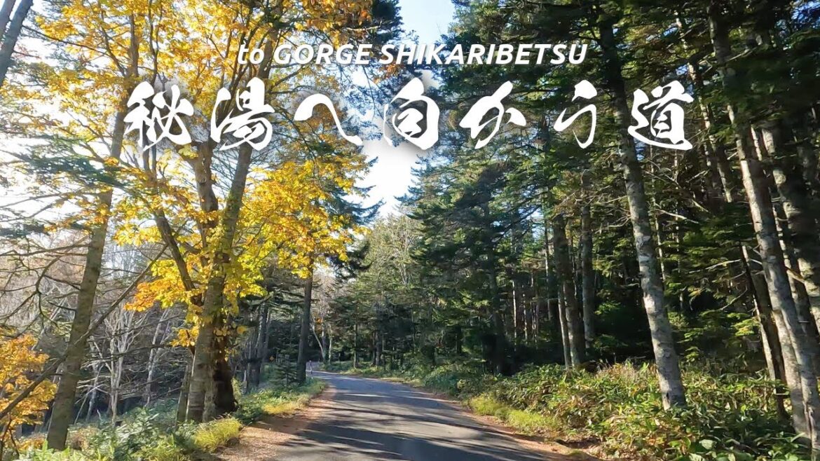 Japan Hokkaido Travel | Road to the Hidden Hot Spring, Tokachi, Beautiful Late Autumn Drive