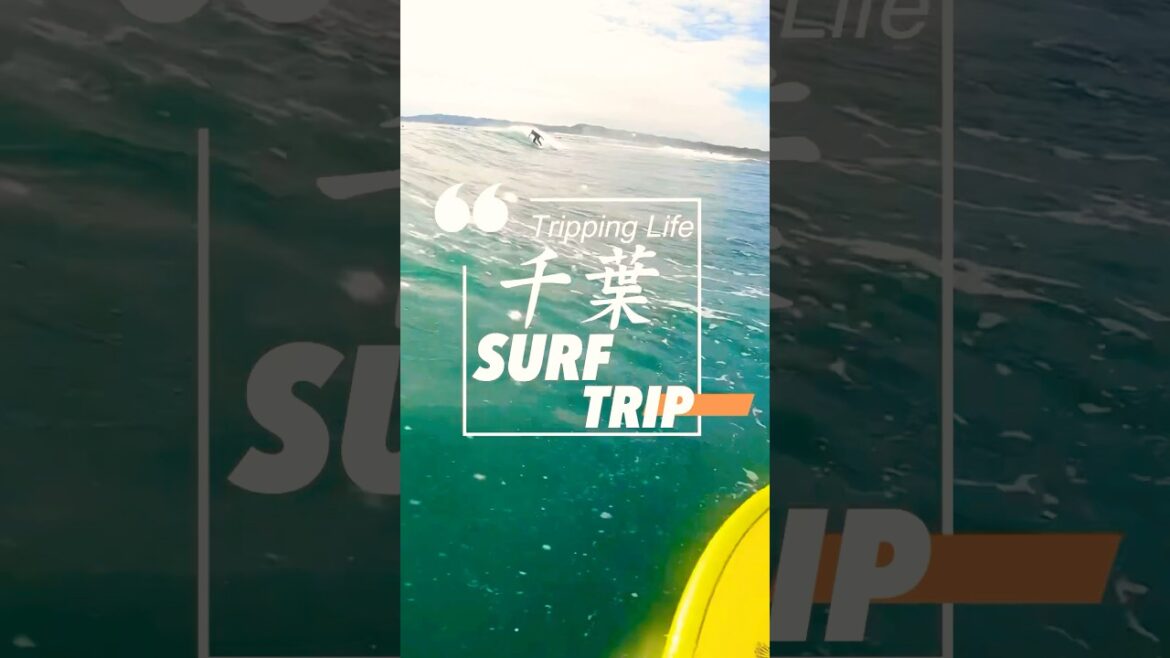 【最高SURF TRIP】仲間と千葉へ1泊2日のサーフ旅　#shorts  #サーフィン #サーフトリップ