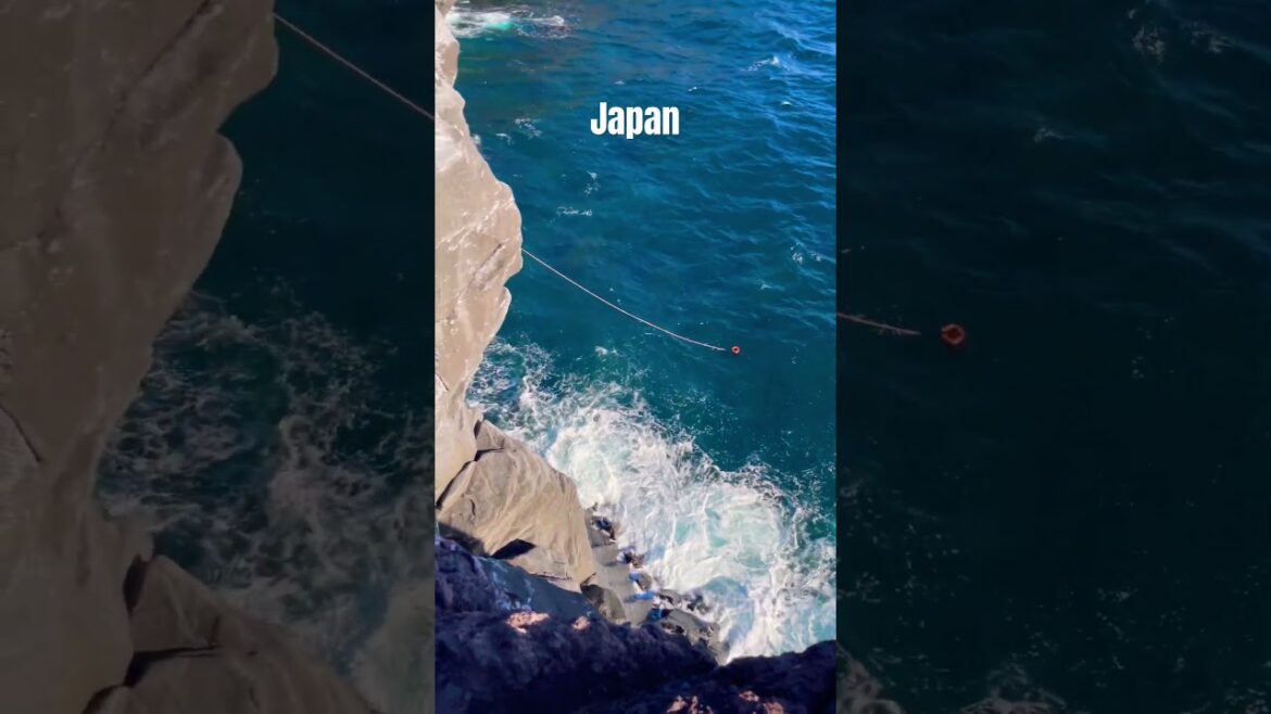 japan #静岡　#peninsula #shizuoka #海