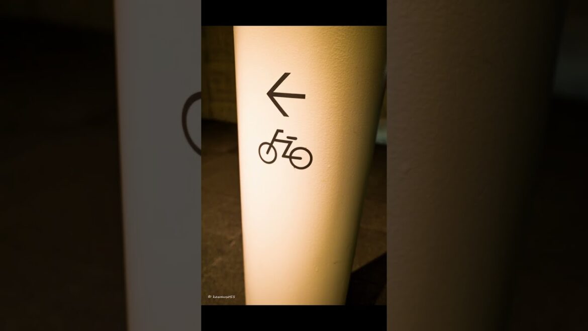 2024年11月GRIIIで撮った仙台の景色 #shorts  #ricohGRIII #griii #photography #sendai #lightroom #ベガルタ仙台 #銀杏並木 2024年11月GRIIIで撮った仙台の景色 #shorts  #ricohGRIII #griii #photography #sendai #lightroom #ベガルタ仙台 #銀杏並木