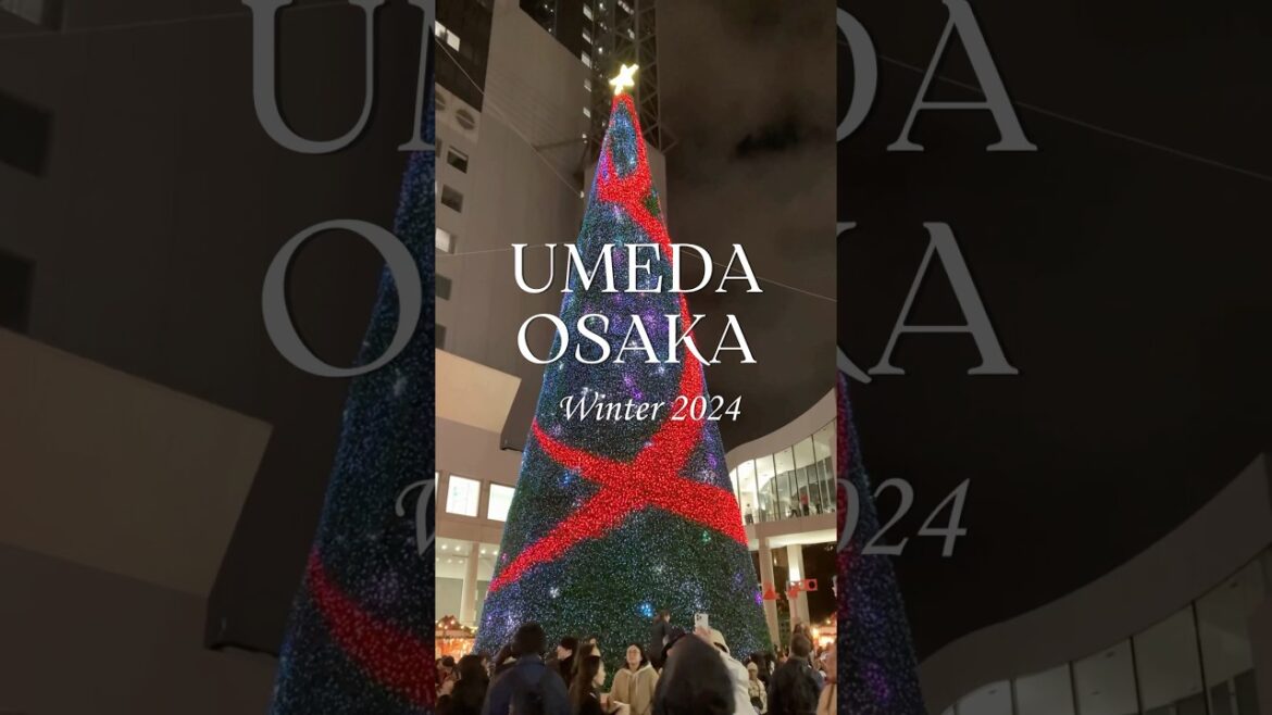 Osaka Umeda Winter 2024 // 2024年 冬の大阪 梅田　#shorts #osaka #umeda #christmas #大阪 #梅田 #クリスマス