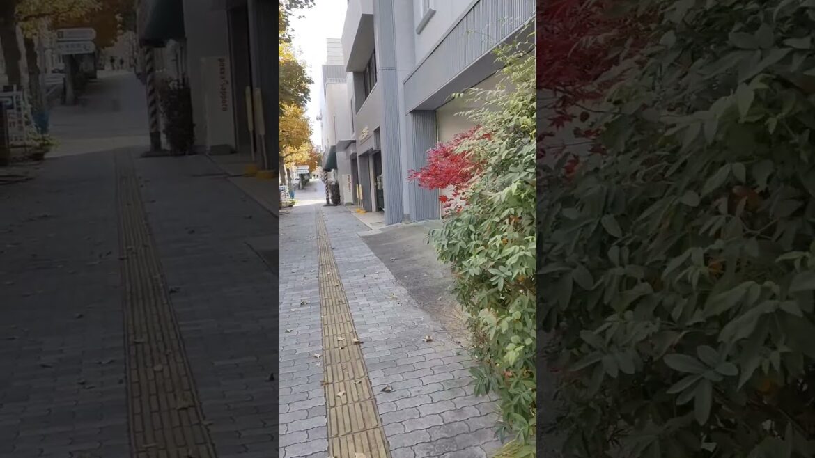 岡山カルチャーゾーン