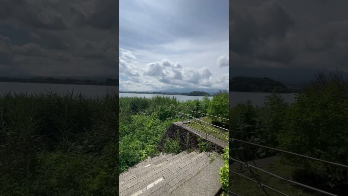 Lake Kawaguchi #tokyo #japan #japneseculture #nature #naturelovers #viralvideo #japantrip #trip