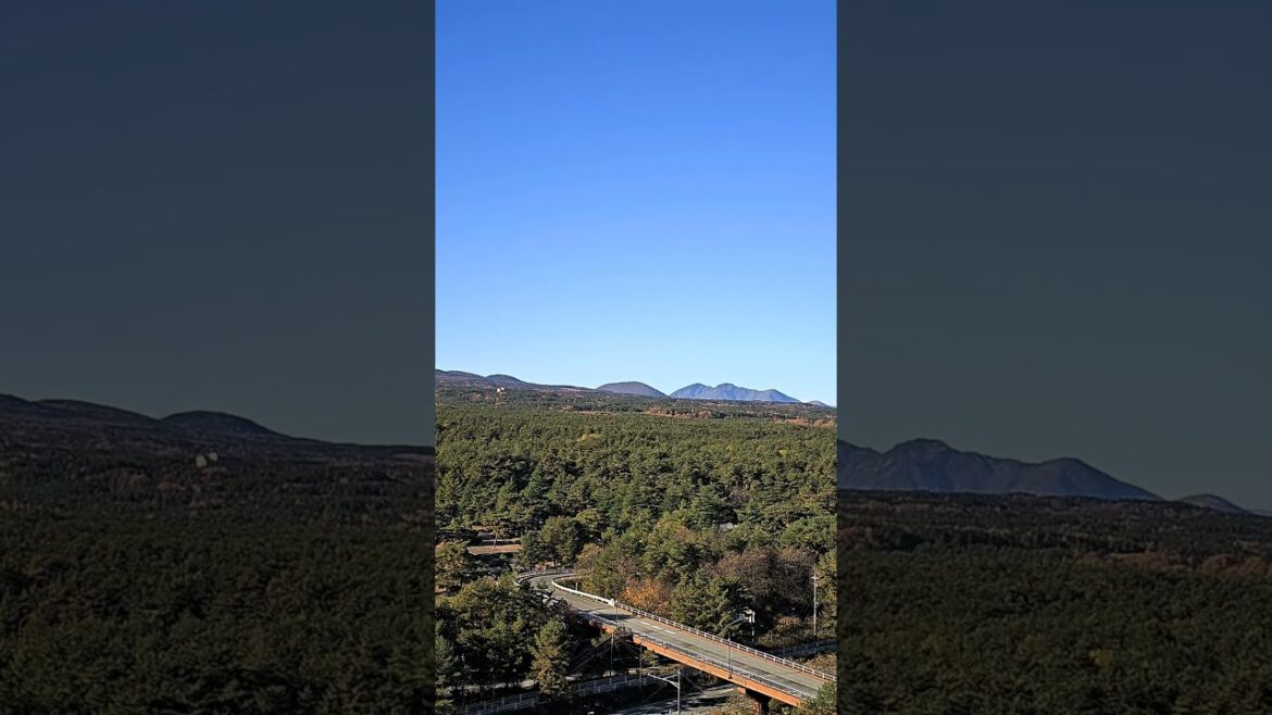 Gorgeous Mount Fuji view from hotel roof deck