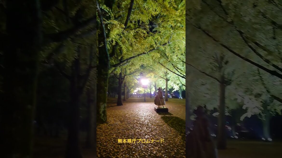 熊本県庁プロムナード