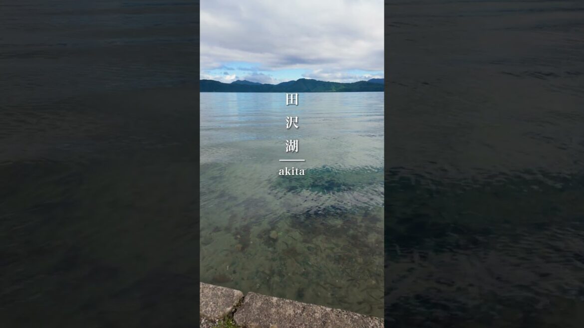 【田沢湖VLOG】秋田の雄大な自然、田沢湖！綺麗な湖だった！！ #田沢湖 #秋田 #東北旅行 #japantravel