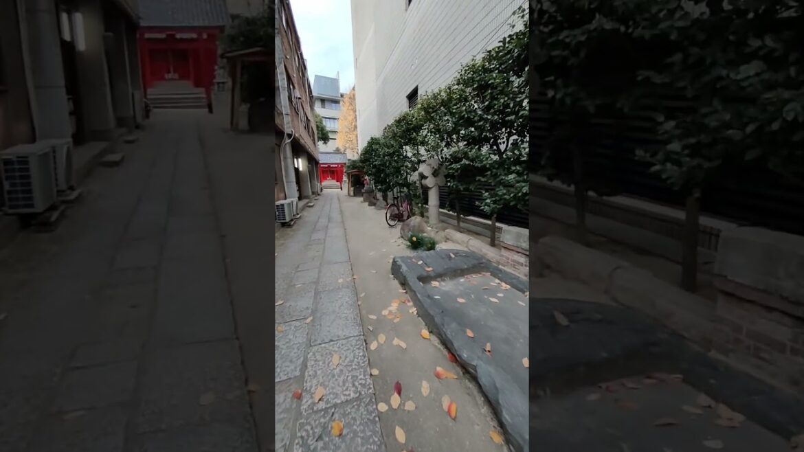 甚九郎稲荷　#岡山市