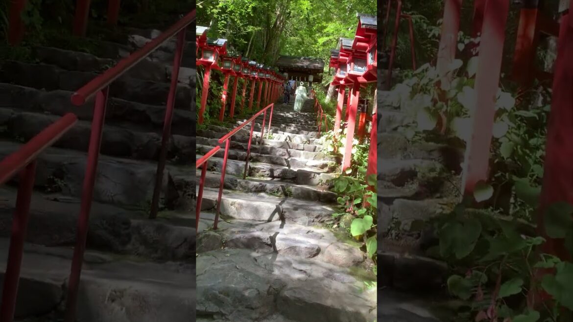 Climb the stone steps leading to Kifune Shrine Climb the stone steps leading to Kifune Shrine