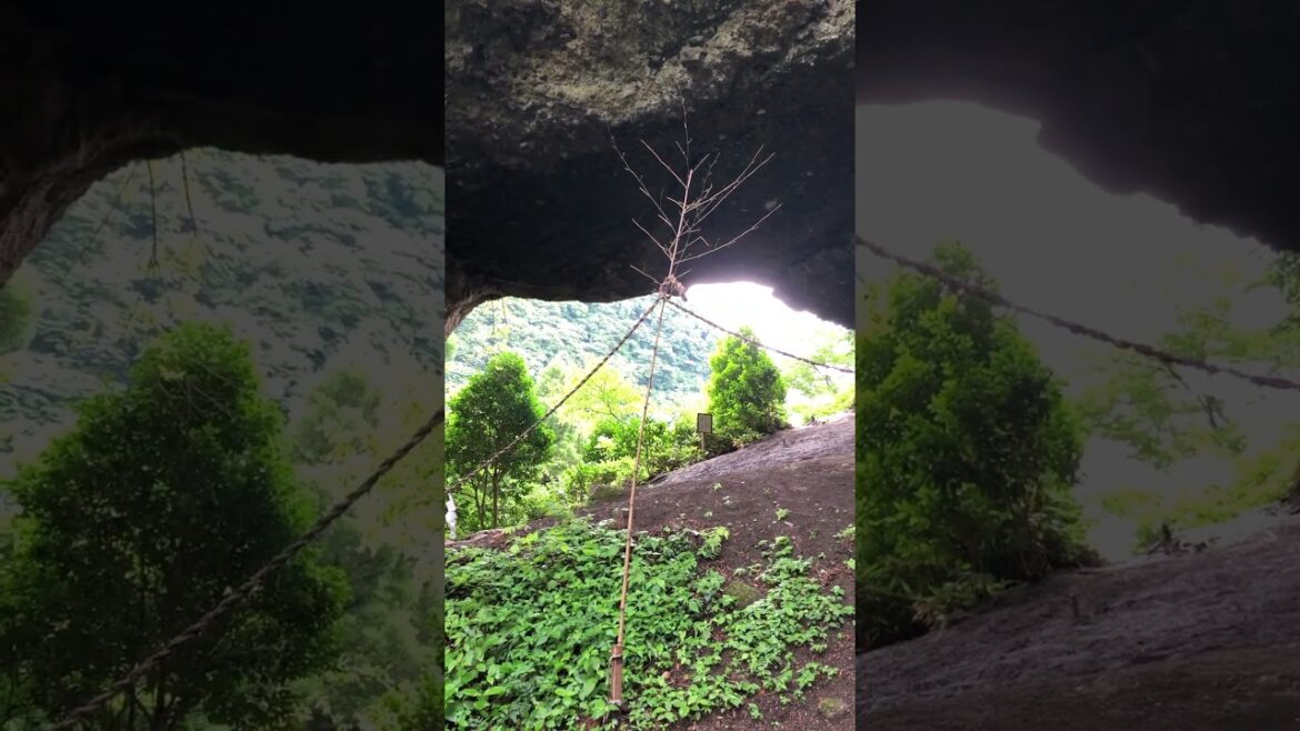 Discover Kamishikimi Kumanoimasu Shrine: The Mystical Ugeto-iwa Cave 🌿✨ Discover Kamishikimi Kumanoimasu Shrine: The Mystical Ugeto-iwa Cave 🌿✨