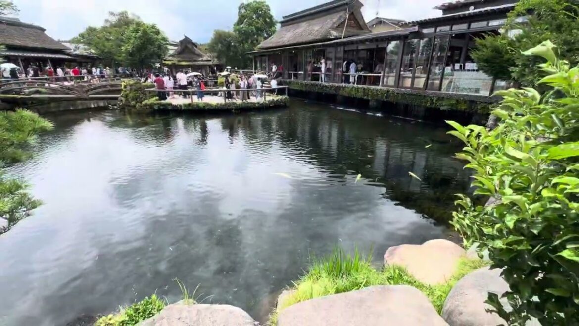 Oshino Hakkai Mount Fuji World Heritage Sight with 8 super Clear Ponds!Best place to visit in #japan Oshino Hakkai Mount Fuji World Heritage Sight with 8 super Clear Ponds!Best place to visit in #japan