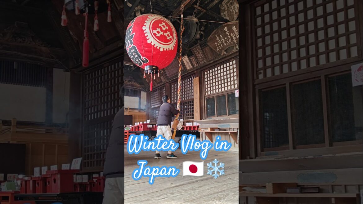 Winter Vlog in Japan🇯🇵❄️ Exploring Osaka🏮Kyoto⛩️ Nara🦌Wakayama🏯 Kobe🌇 #shorts #travel #recap #japan