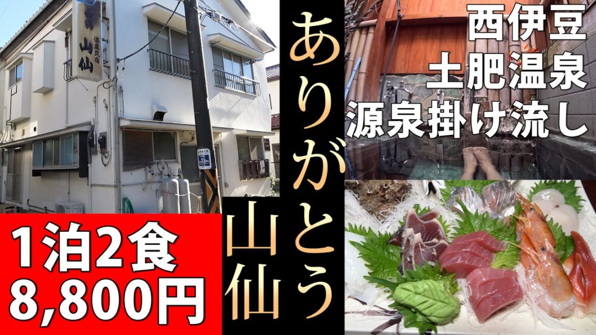 西伊豆・土肥旅行　思い出の民宿に泊まってみた