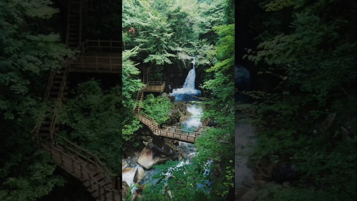 Gifu, Japan °°°°° #travel #shorts