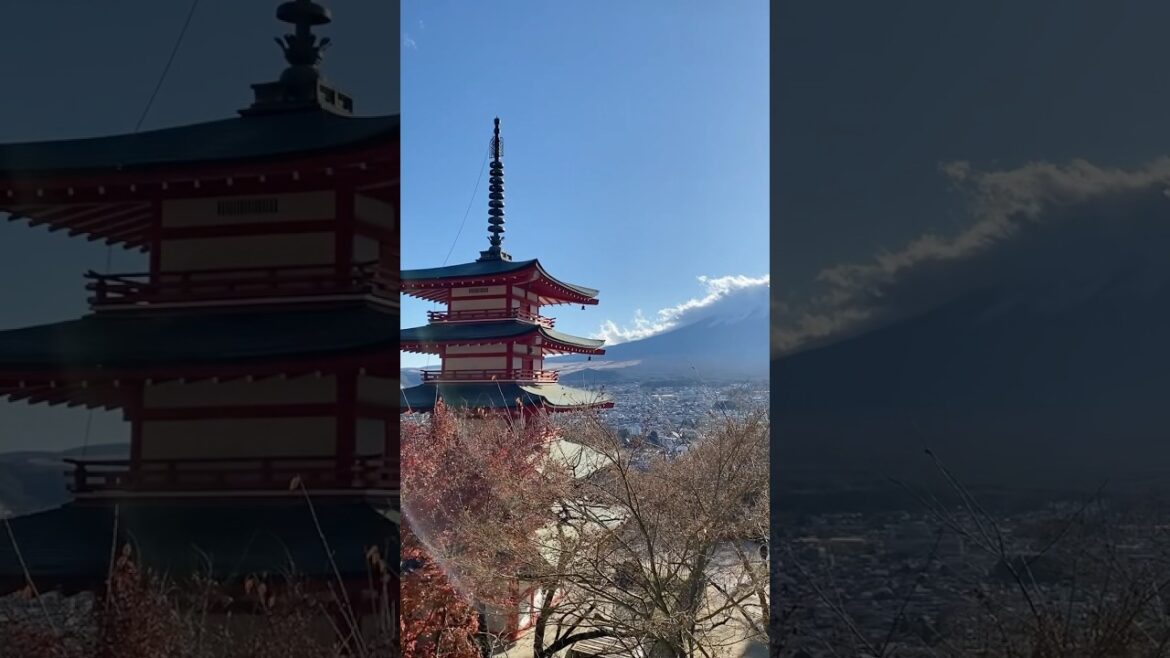 One of my 2024 Japan trip highlight - Mt Fuji tour! #travel #traveltiktok #fyp #fypシ゚ #japan #2024