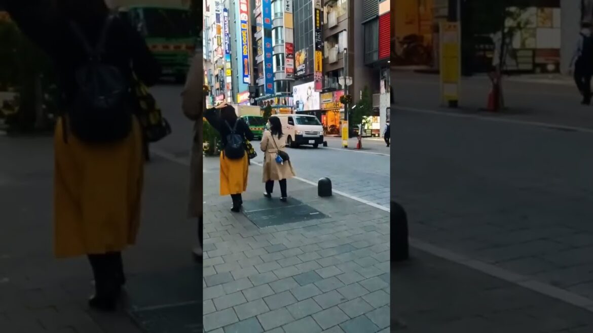Walking Through Tokyo, Japan - Travel Video 2024