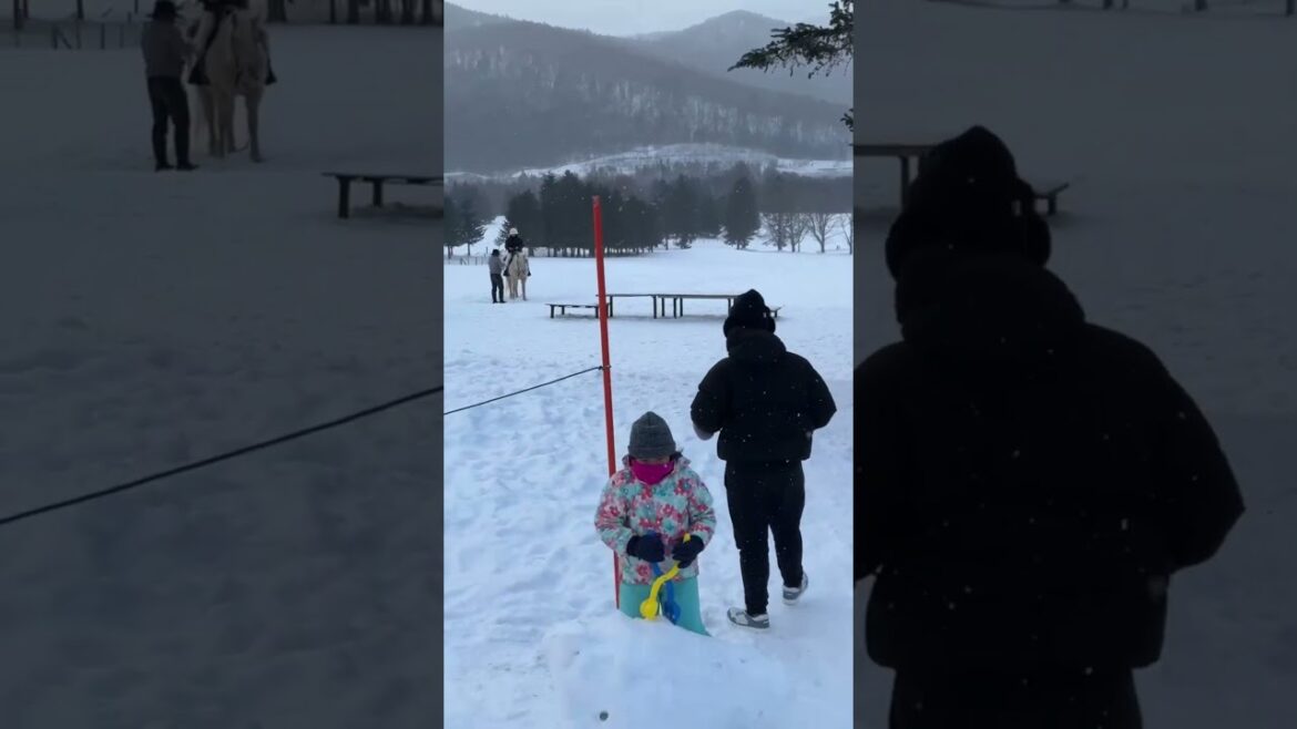 Gao Outdoor Center and ice village , Hokkaido #tour #travel #snow #japan #fun