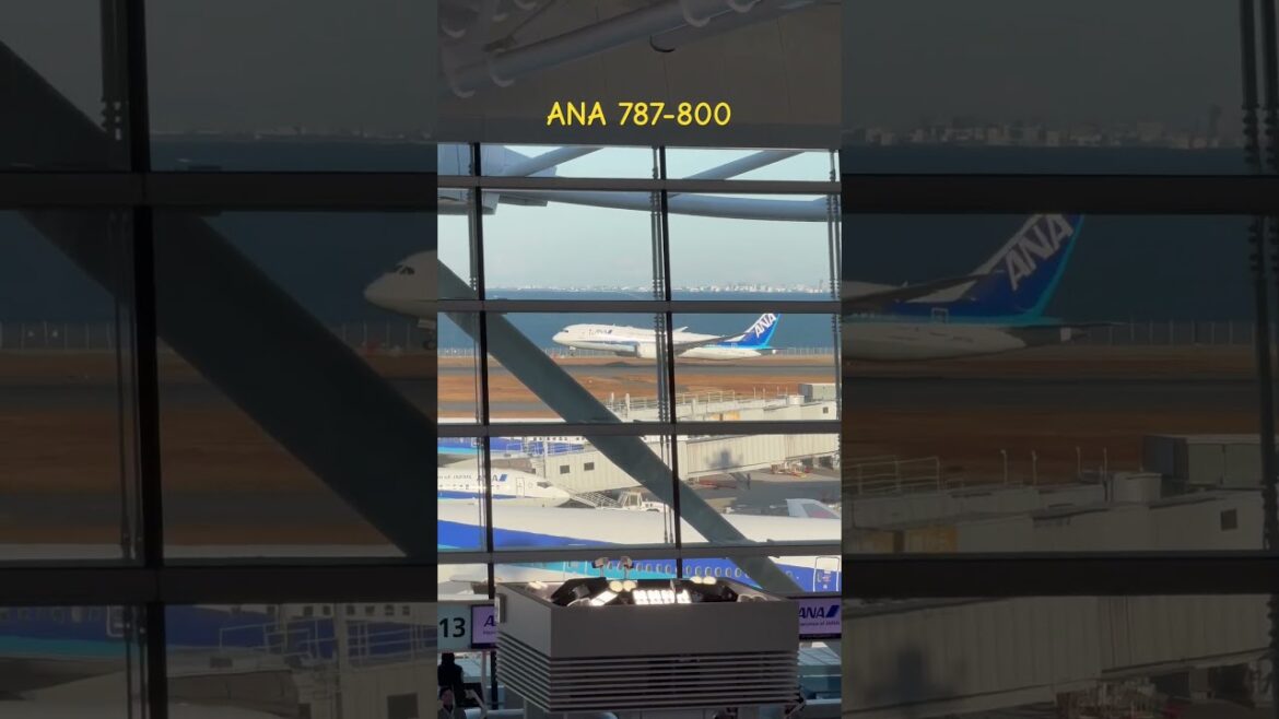787-800 (JA878A) NH405 Tokyo Haneda to Akita #aviation  #haneda