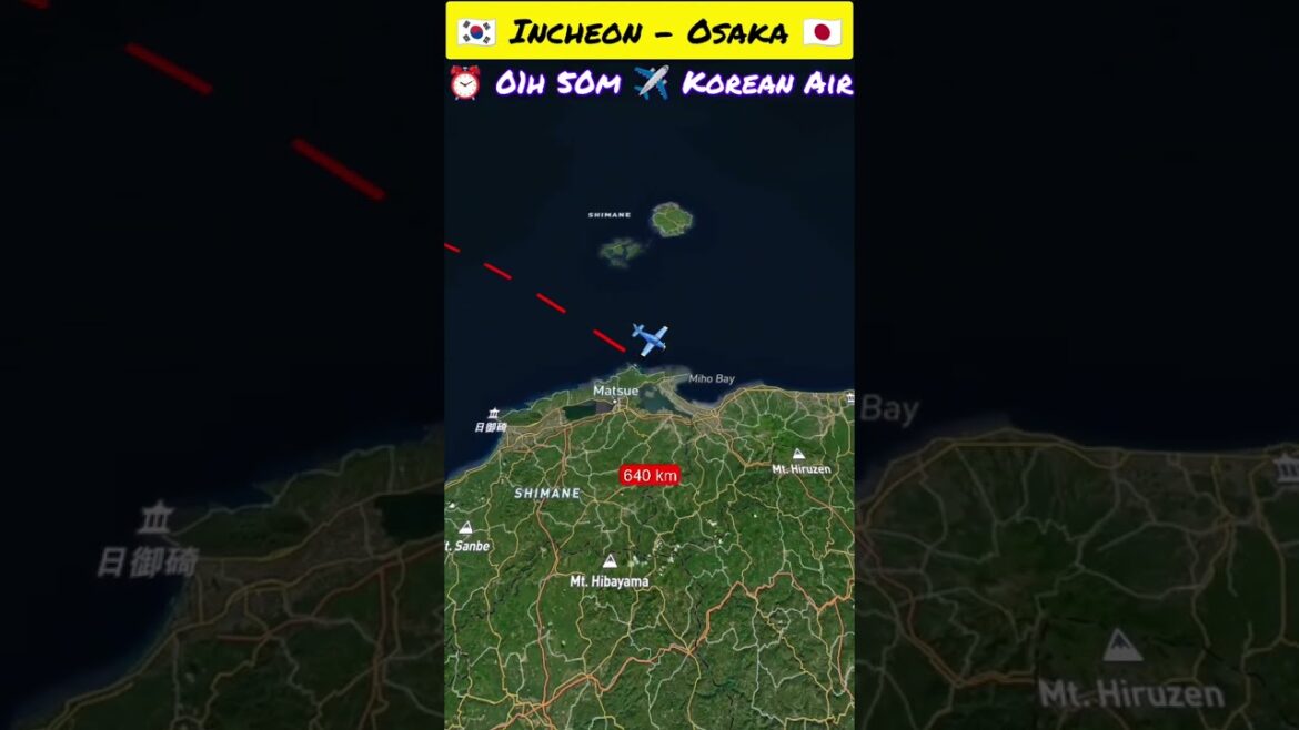 Incheon to Osaka flight l Korean Air ✈️ #travel #tour #tourism #aviation #reels #shorts #travelvlog