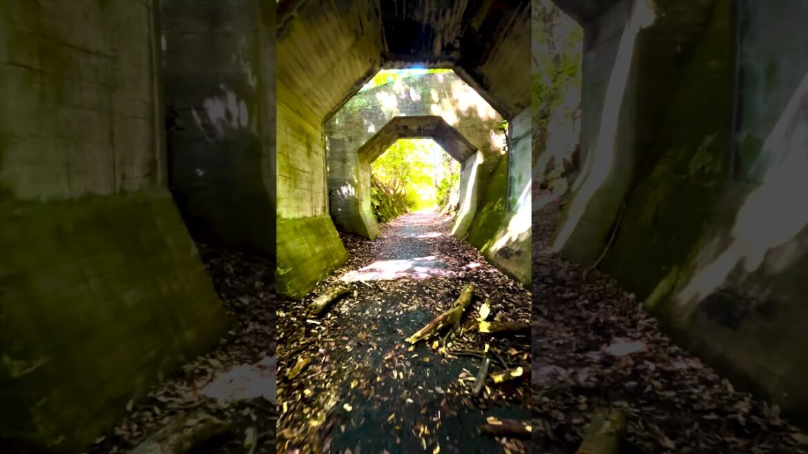 通潤橋　#shorts  #通潤橋　#二俣橋　#八角トンネル 八角トンネル